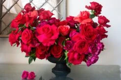 Blooming Cupid -Flower Gift Shop DSC 8874copy 45002140 0b4d 4fa8 a378 2098f9649610