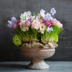 Lavender Haze -Flower Gift Shop DSC 9209copy