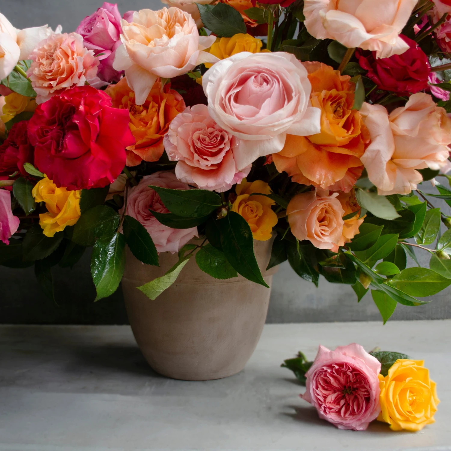 Hampton Rose Garden 5 Hampton Rose Garden - Image 3