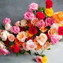 Hampton Rose Garden 6 Hampton Rose Garden -Flower Gift Shop DSC 9311copy