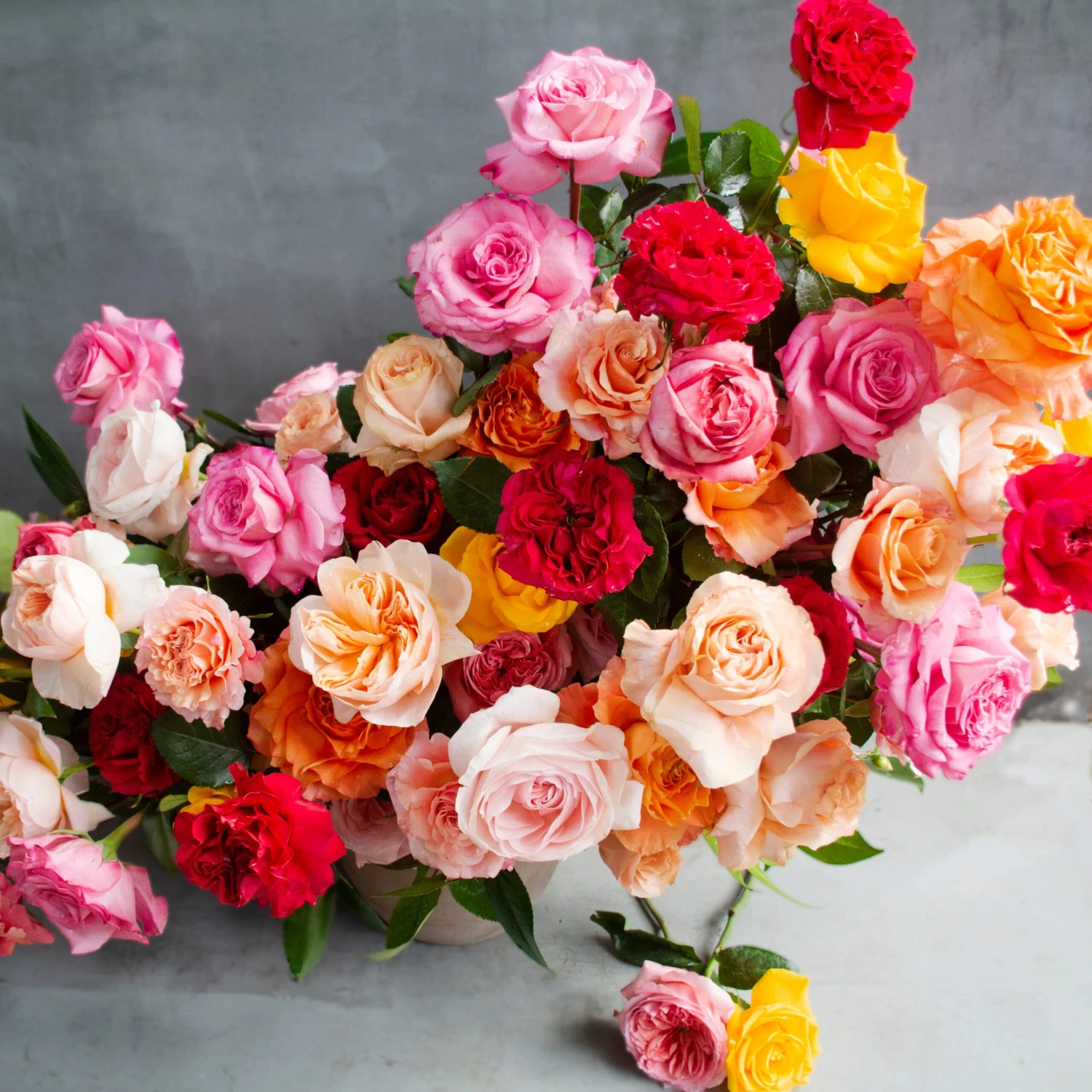 Hampton Rose Garden 4 Hampton Rose Garden - Image 2