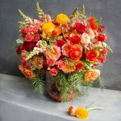 Capri Sorbet -Flower Gift Shop DSC 9324copy