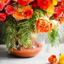 Capri Sorbet -Flower Gift Shop DSC 9326copy