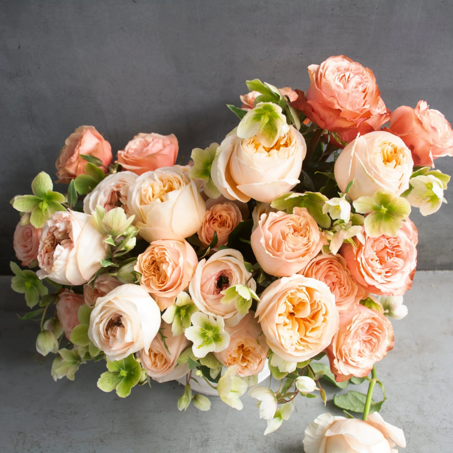 Cream Elegance 4 Cream Elegance - Image 2