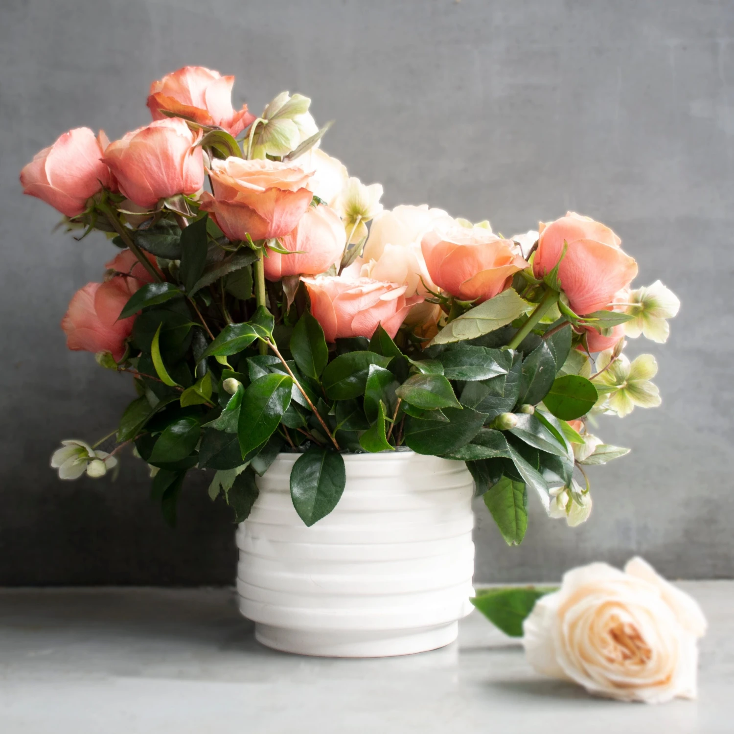 Cream Elegance 5 Cream Elegance - Image 3