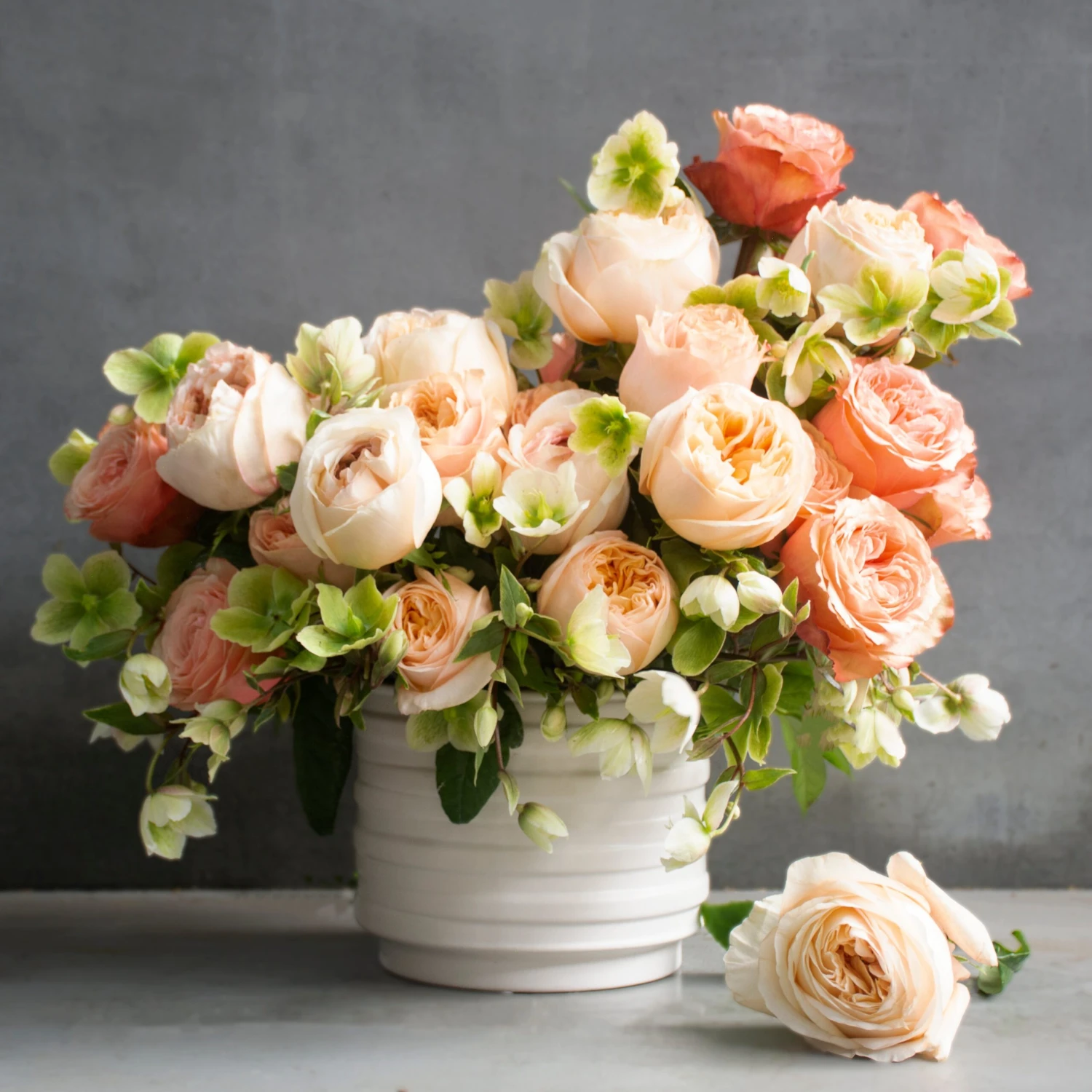 Cream Elegance 3 Cream Elegance