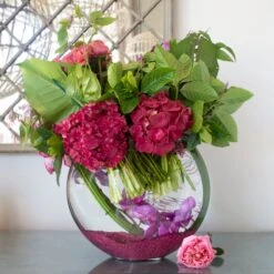 Violet Delight 7 Violet Delight -Flower Gift Shop DSC 9365copy