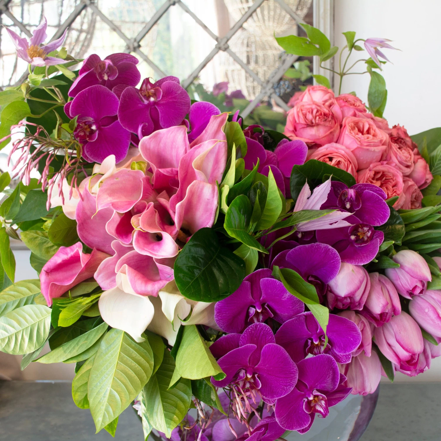 Violet Delight 4 Violet Delight - Image 2