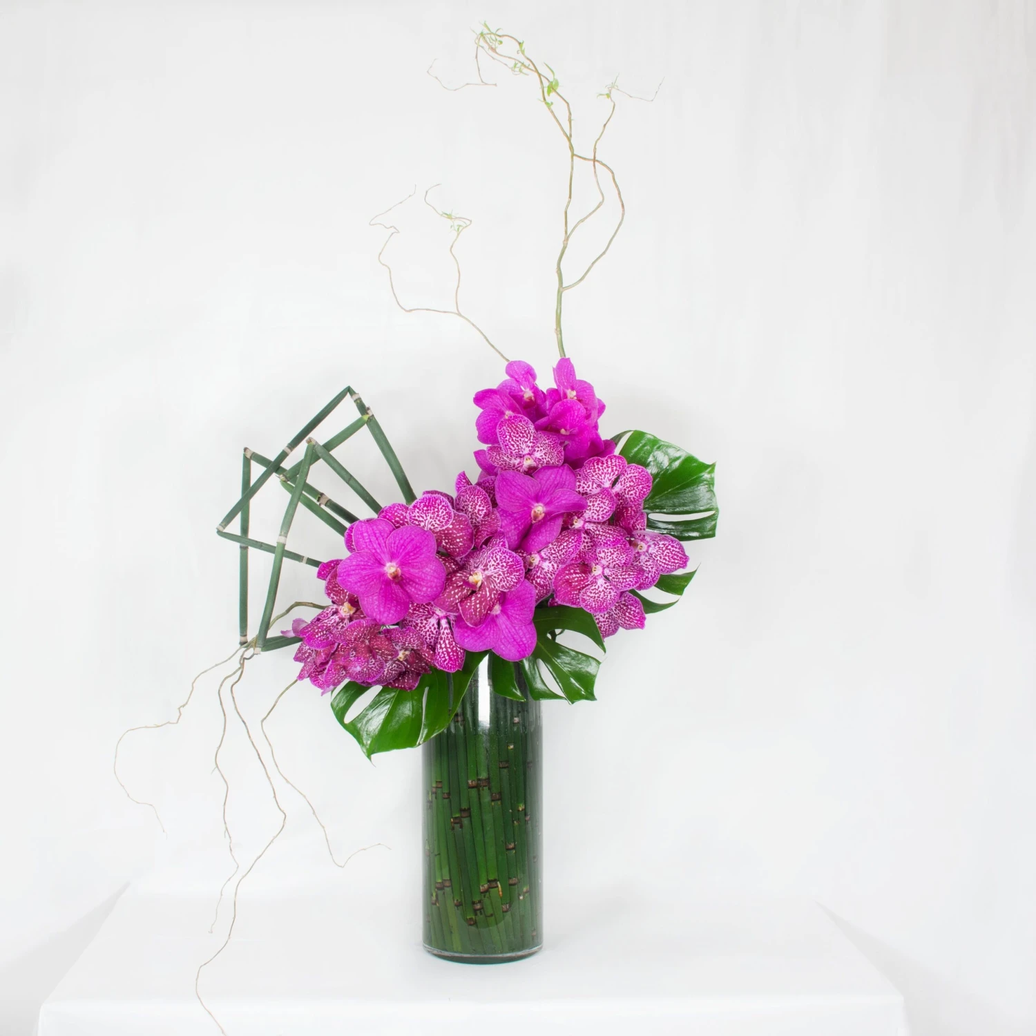 Magenta Magic 3 Magenta Magic