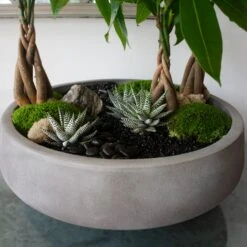 Bespoke - Dubai Oasis -Flower Gift Shop DSC 9528copy