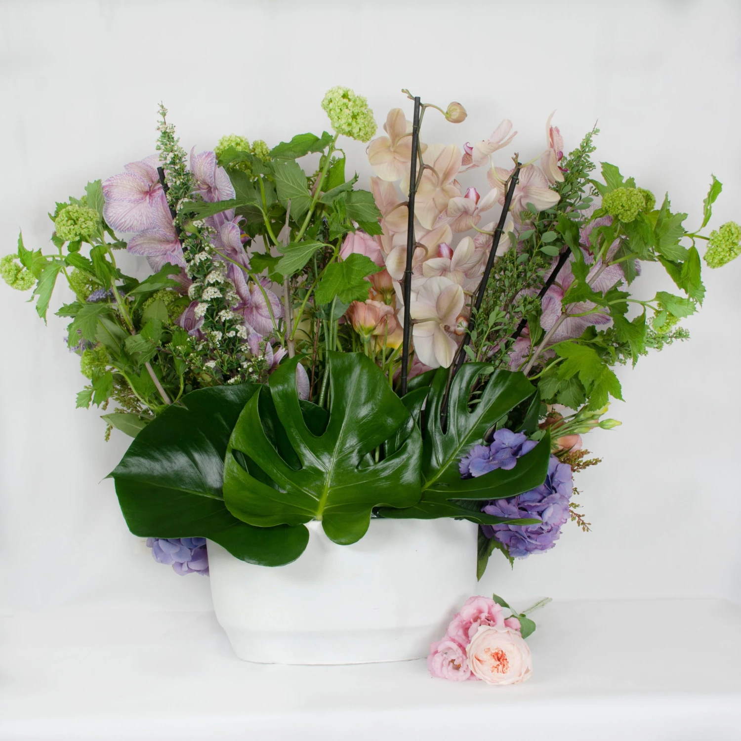 Symphony Falls 4 Symphony Falls - Image 2