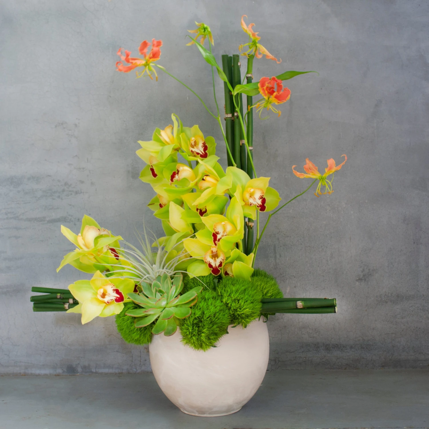 Verdant Paradise 3 Verdant Paradise