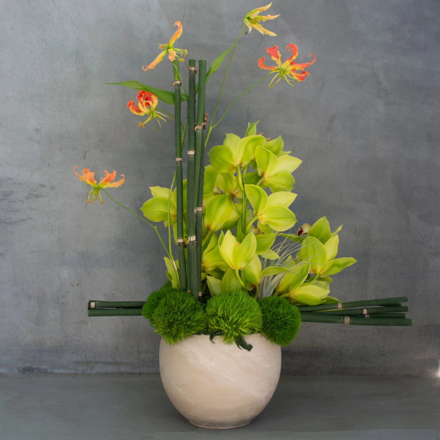 Verdant Paradise 4 Verdant Paradise - Image 2