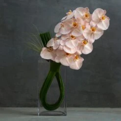 Chocolate Truffle 6 Chocolate Truffle -Flower Gift Shop DSC 9638copy