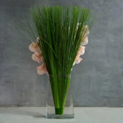 Espresso Martini -Flower Gift Shop DSC 9642copy