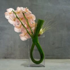 Chocolate Truffle 7 Chocolate Truffle -Flower Gift Shop DSC 9643copy