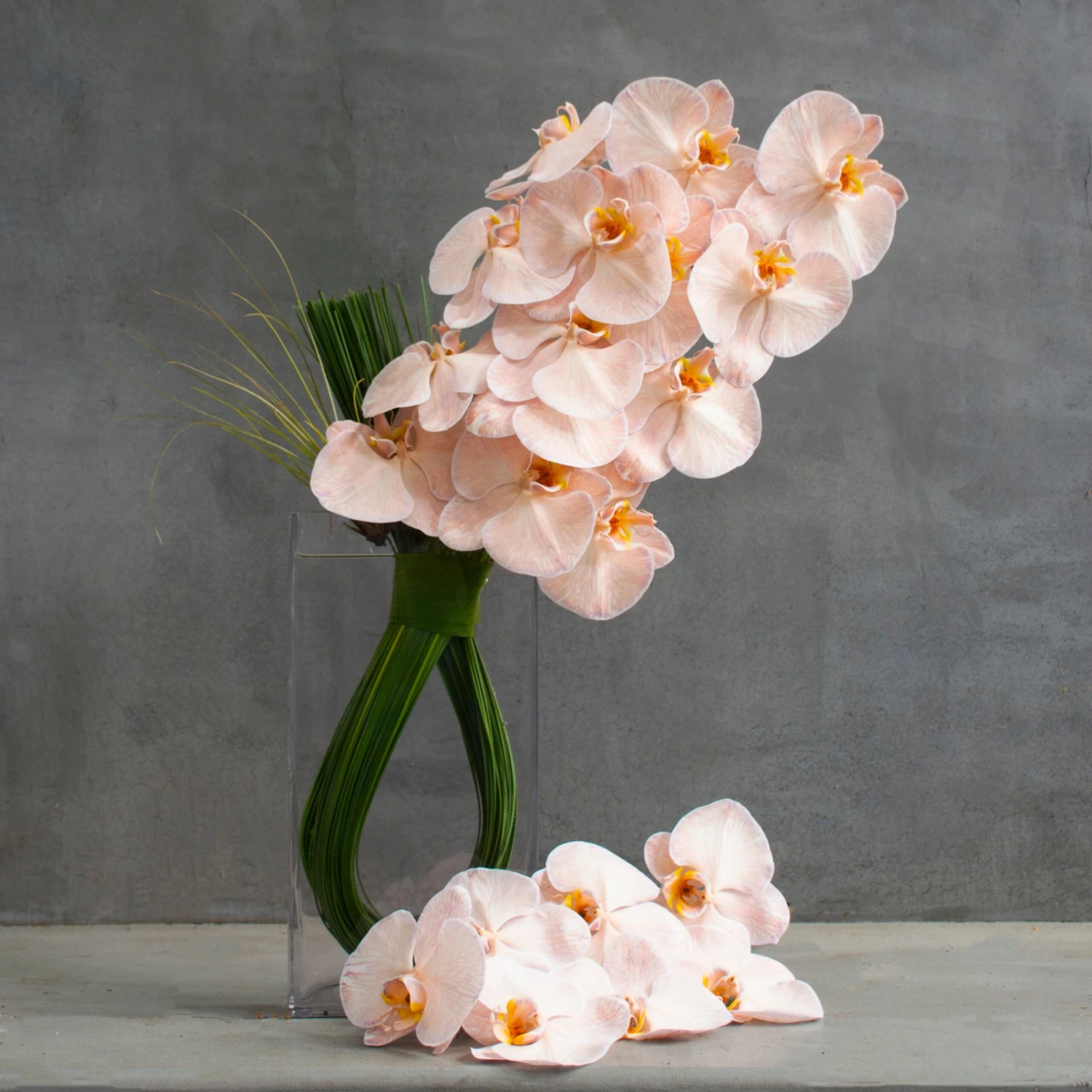 Chocolate Truffle 3 Chocolate Truffle