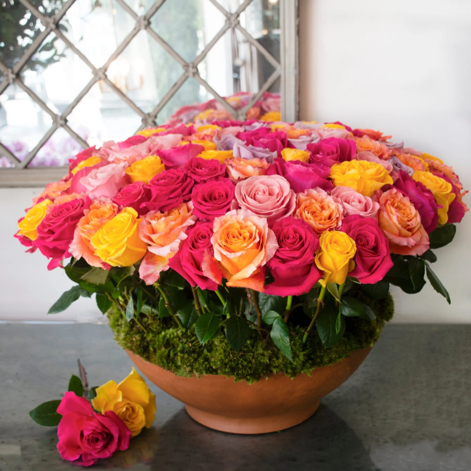 Potted Rose Garden 4 Potted Rose Garden - Image 2