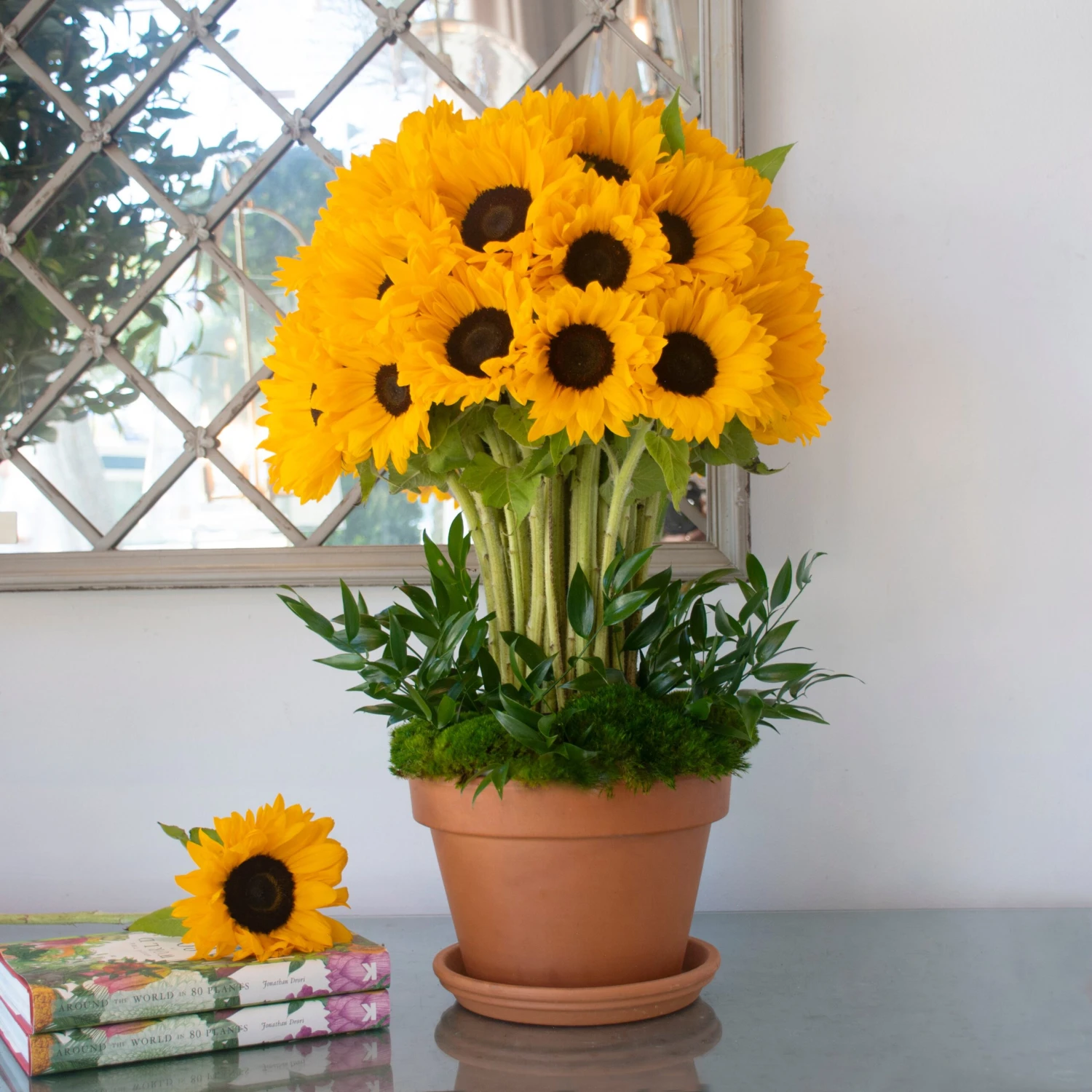 Sunflower Symphony 4 Sunflower Symphony - Image 2