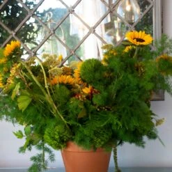 The Summer Willow -Flower Gift Shop DSC 9910copy