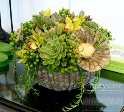 Green Garden Pumpkin