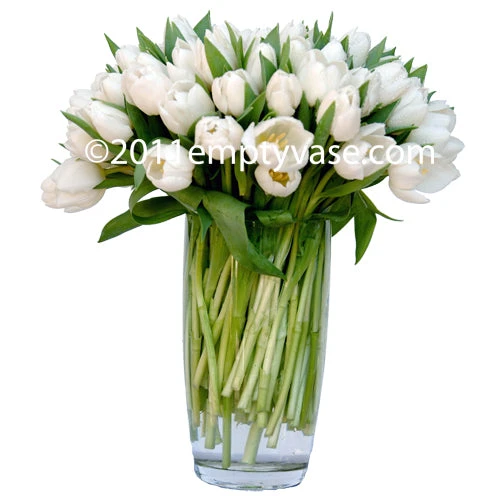 The White Dawn 3 The White Dawn