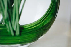 Prismatic Sweet Pea -Flower Gift Shop PS022017 5