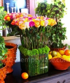 Flower Gift Shop -Flower Gift Shop SPR28