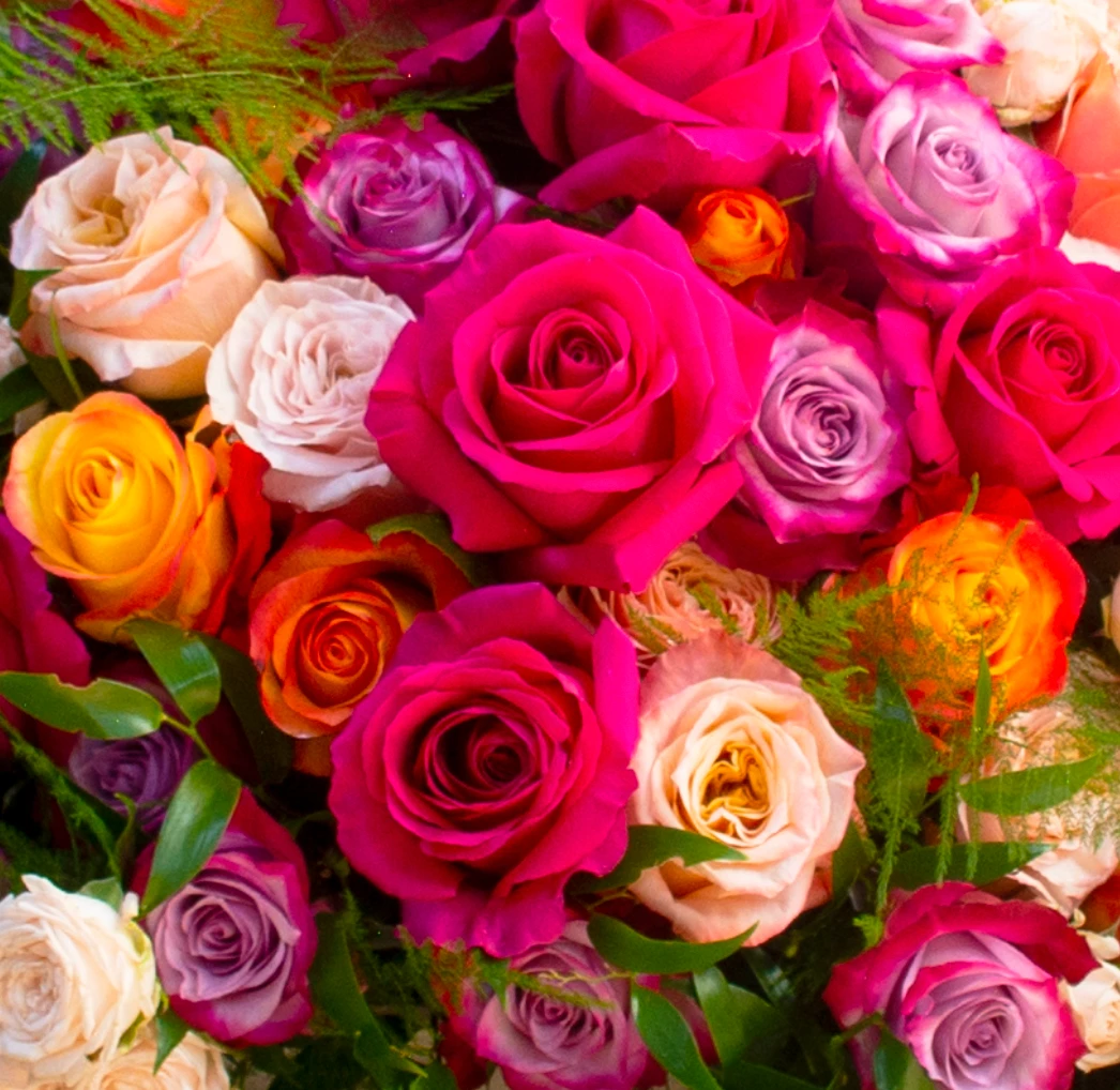 A Majestic Romance 4 A Majestic Romance - Image 2