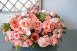 Rose Romance 8 Rose Romance -Flower Gift Shop ScreenShot2022 10 12at4.15.06PM