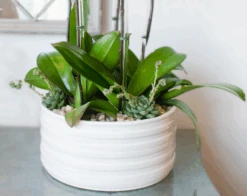 Violaceous Orchids 7 Violaceous Orchids -Flower Gift Shop ScreenShot2023 02 27at1.59.28PM