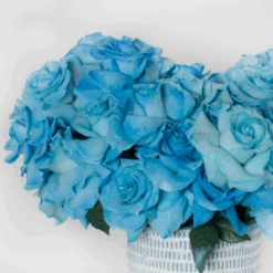 Ocean Eyes -Flower Gift Shop Screenshot2023 07 28at3.42.51PM