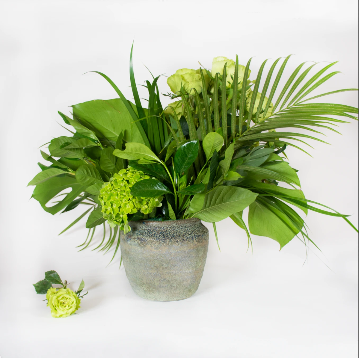 Green Serenity 4 Green Serenity - Image 2