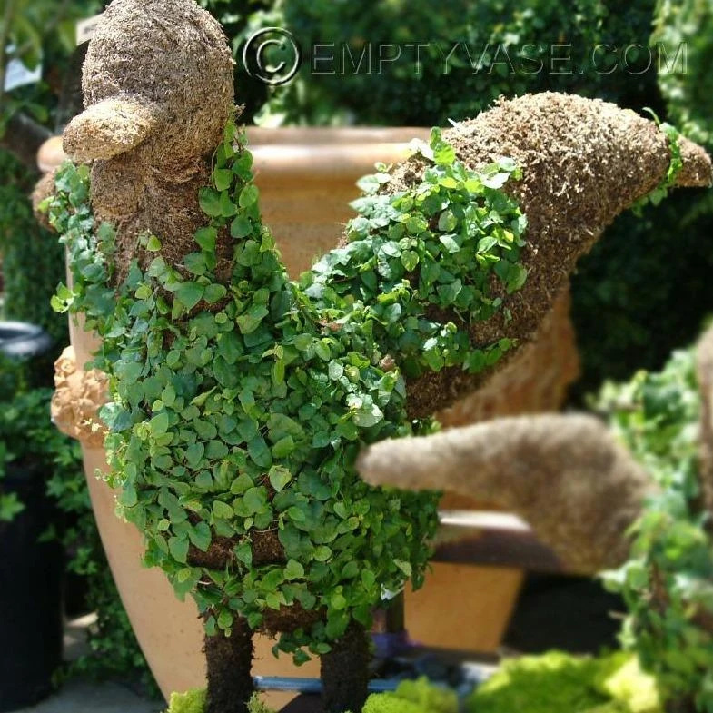 Bird Topiary 6 Bird Topiary - Image 4