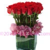 Ravishing Roses -Flower Gift Shop V4008xl
