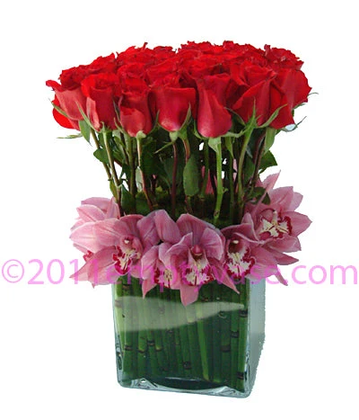 Ravishing Roses 3 Ravishing Roses