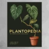 Book - Plantopedia: The Definitive Guide To Houseplants -Flower Gift Shop VOGUE 2023 10 26T163446.295