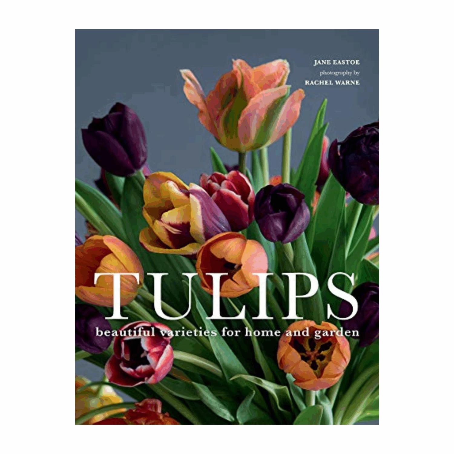 Book - Tulips: Beautiful Varieties For Home And Garden 3 Book - Tulips: Beautiful Varieties For Home And Garden