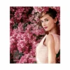 Book Always Audrey: Six Iconic Photographers. One Legendary Star. 1 Book Always Audrey: Six Iconic Photographers. One Legendary Star. -Flower Gift Shop VOGUE 16