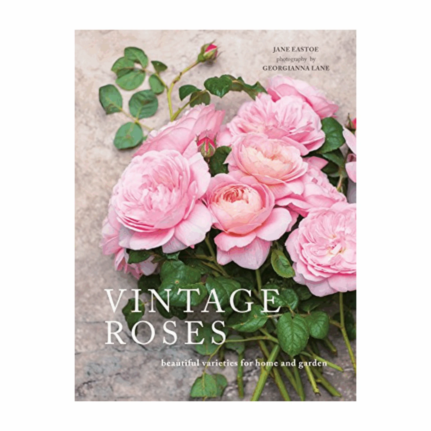 Book - Vintage Roses: Beautiful Varieties For Home And Garden 3 Book - Vintage Roses: Beautiful Varieties For Home And Garden