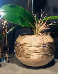 A Drop Of Gold -Flower Gift Shop adropofgold1