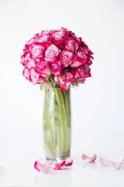 Amethyst Amour -Flower Gift Shop amethystamour1