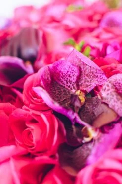 Amore Mio -Flower Gift Shop amoremio1