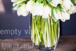 As You Wish 10 As You Wish -Flower Gift Shop aw012516 1 5