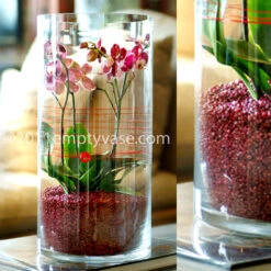 Baby Phaleanopsis In Red Sand