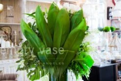 Belle Of The Ball 9 Belle Of The Ball -Flower Gift Shop belleoftheball3