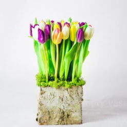 The Birch And Tulip Grove