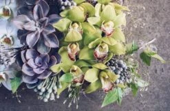 The Birchwood Garden -Flower Gift Shop bg092516 5