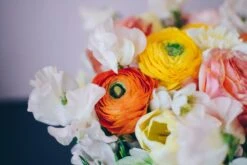 Butterfly Grove -Flower Gift Shop bg31317 1