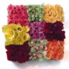 Sectioned Box Of Colorful Flowers -Flower Gift Shop bk600